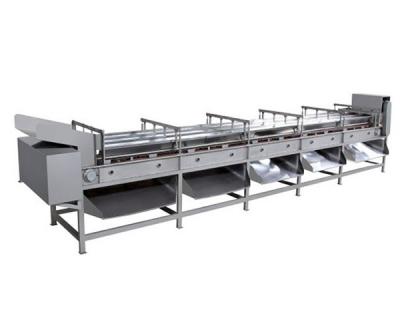 FJJ型水果分級機(jī)